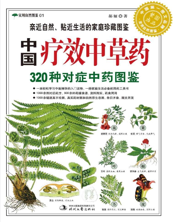 中国疗效中草药图鉴:中国疗效中草药 320种对症中药图鉴